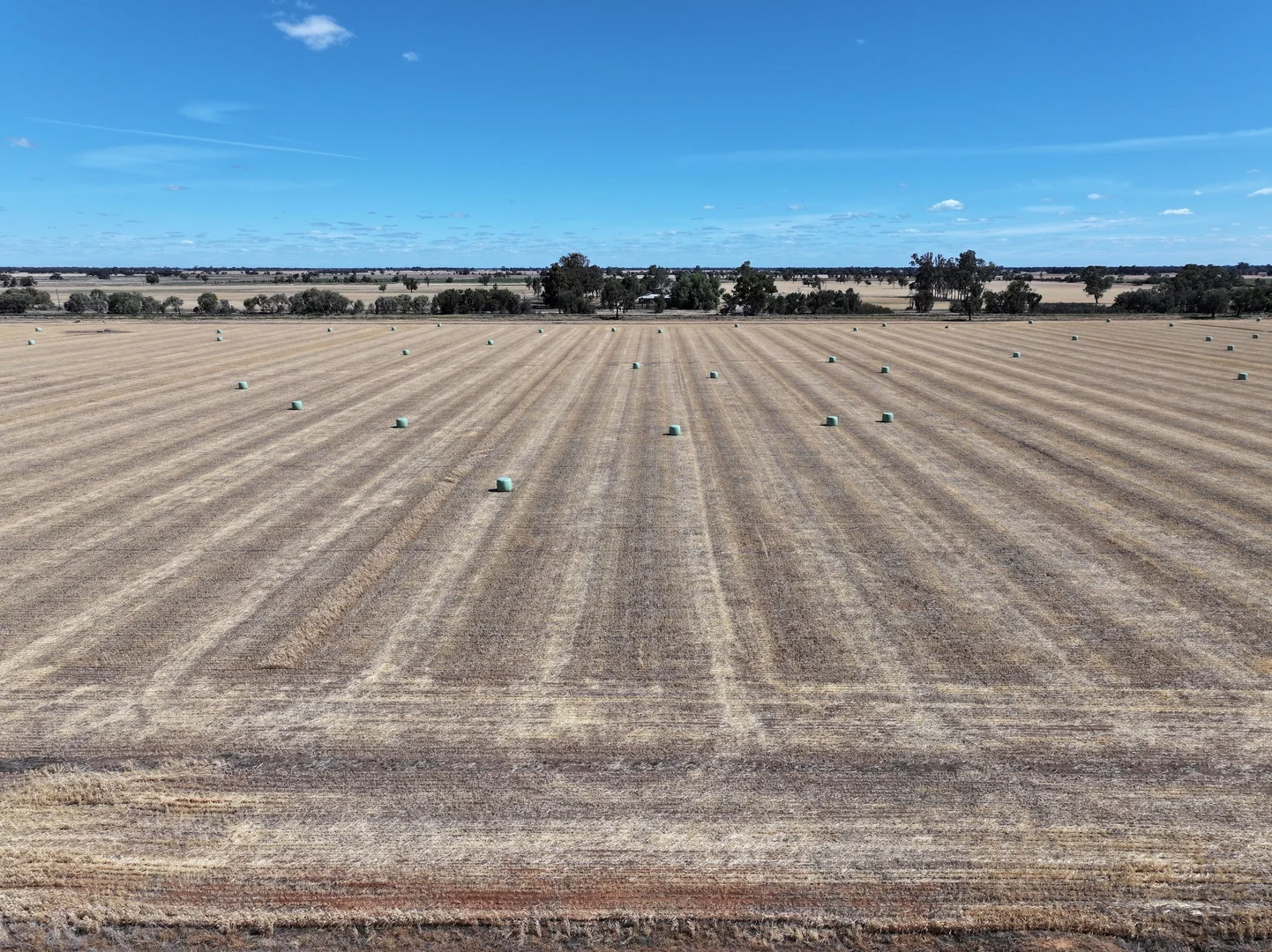 Additional image 11 of 819 Mayrung Road, Deniliquin NSW 2710