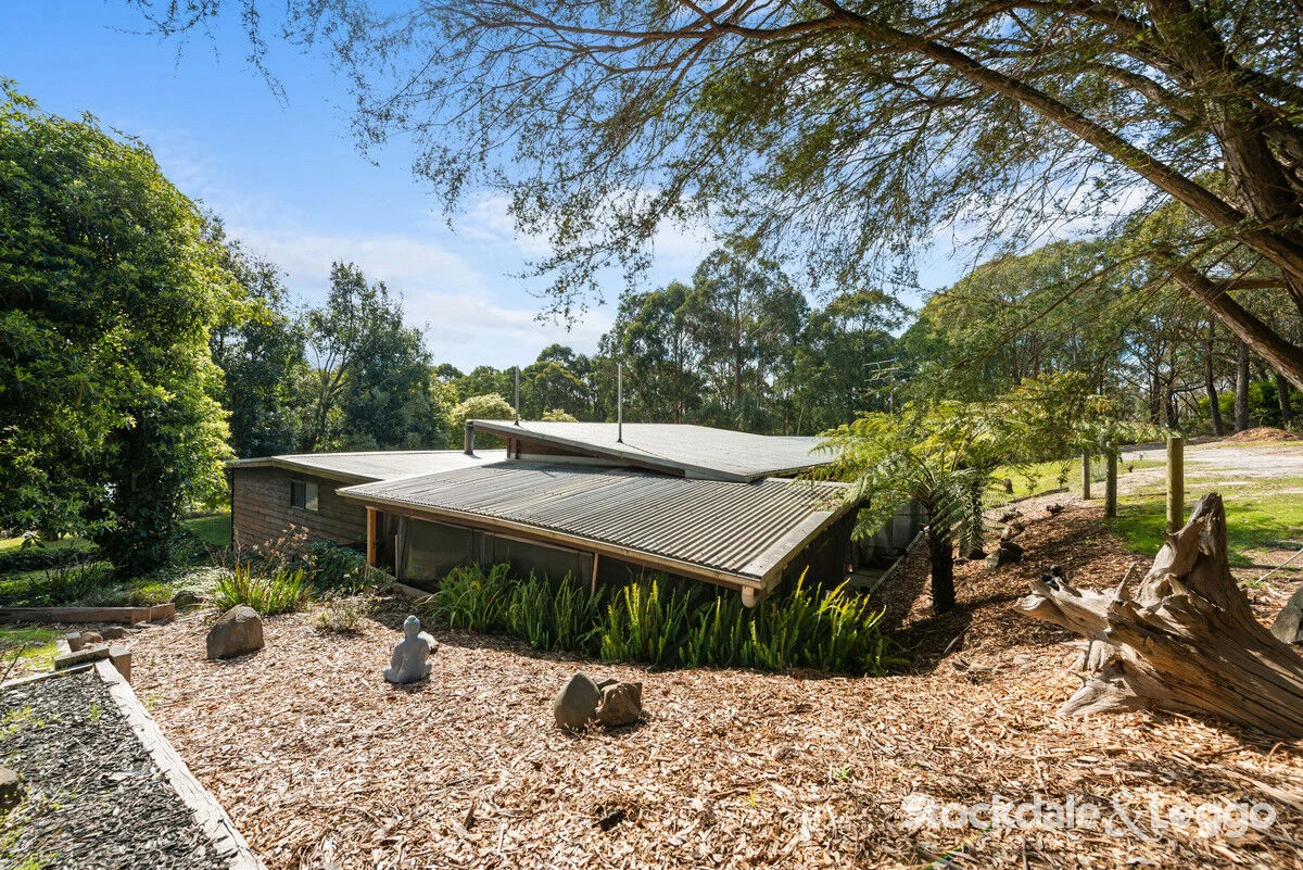 Additional image 21 of 55 MacIntoshs Road, Boolarra VIC 3870