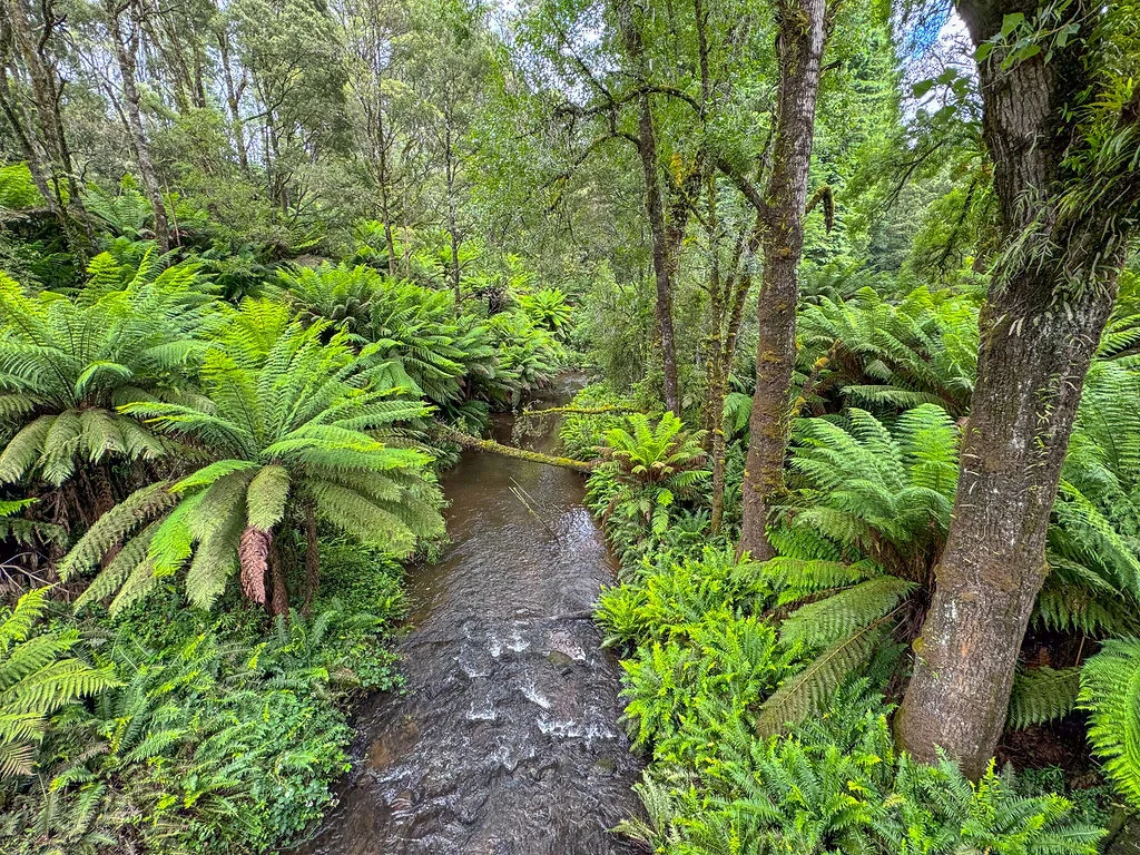Additional image 13 of 54 Gardner Street, Beech Forest VIC 3237