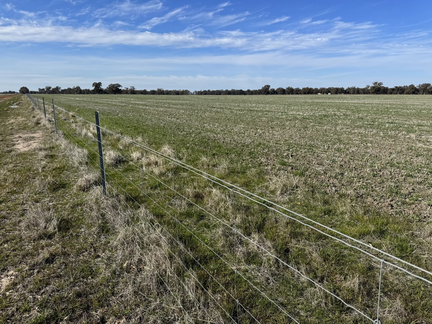 Additional image 7 of Berrigan Oaklands Road, Berrigan NSW 2712