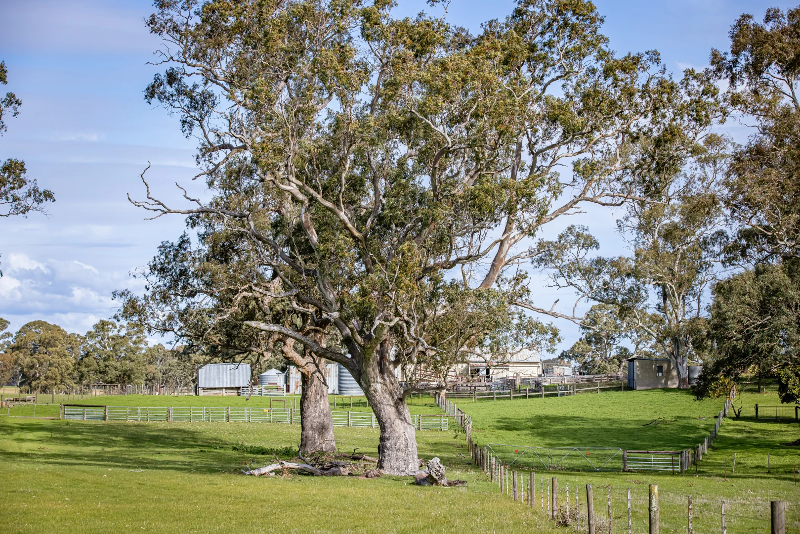 Additional image 12 of 219 Ockley Rd, Comaum SA 5277