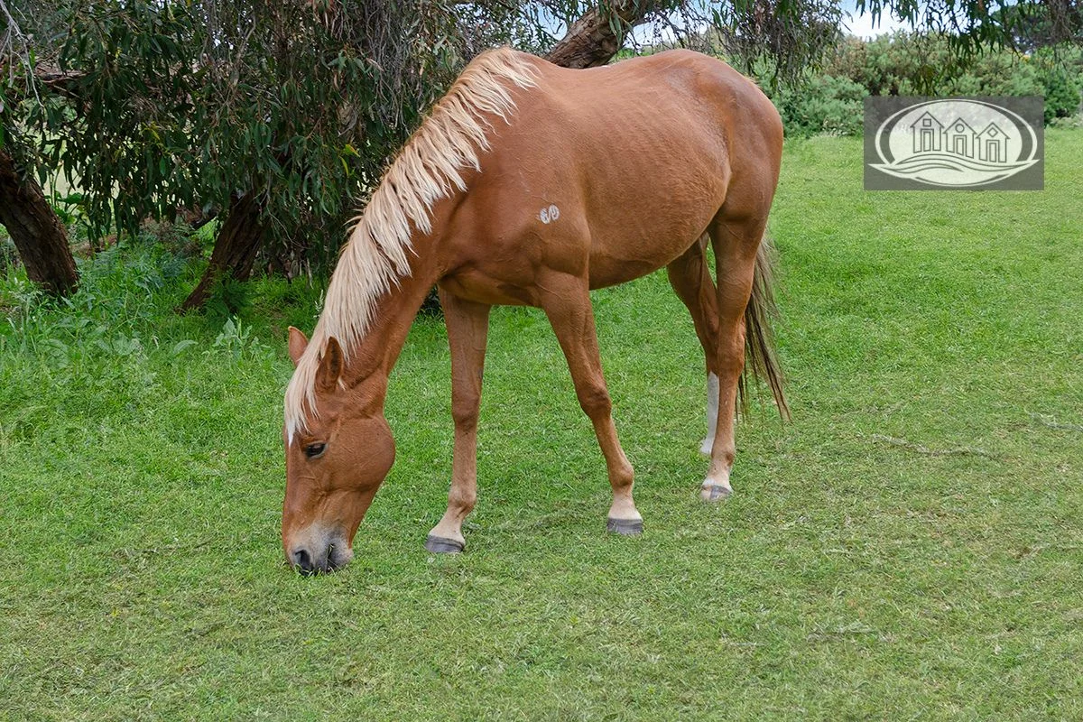 Additional image 13 of 23 Derril Road, Portland VIC 3305