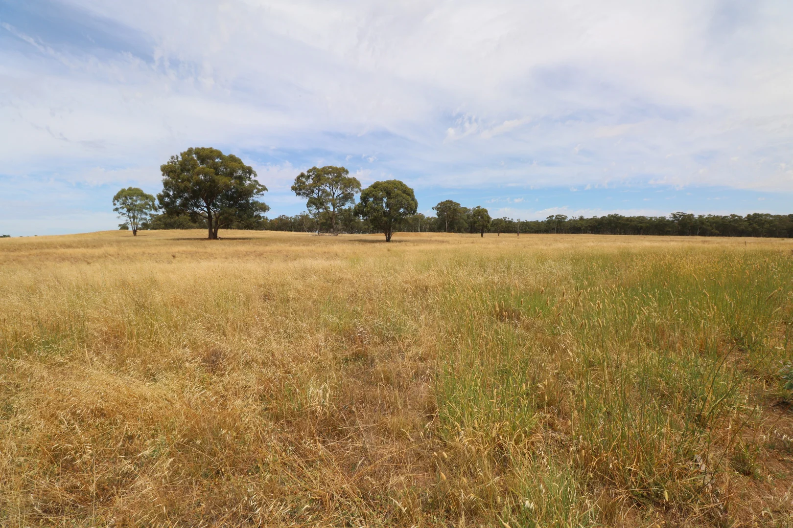 Additional image 2 of 1 Calder Highway, Wedderburn VIC 3518