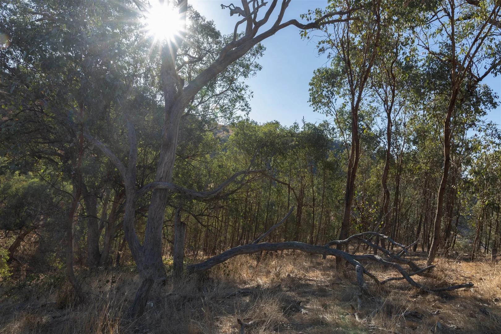 Additional image 30 of 189 Coyles Road, Wodonga VIC 3690