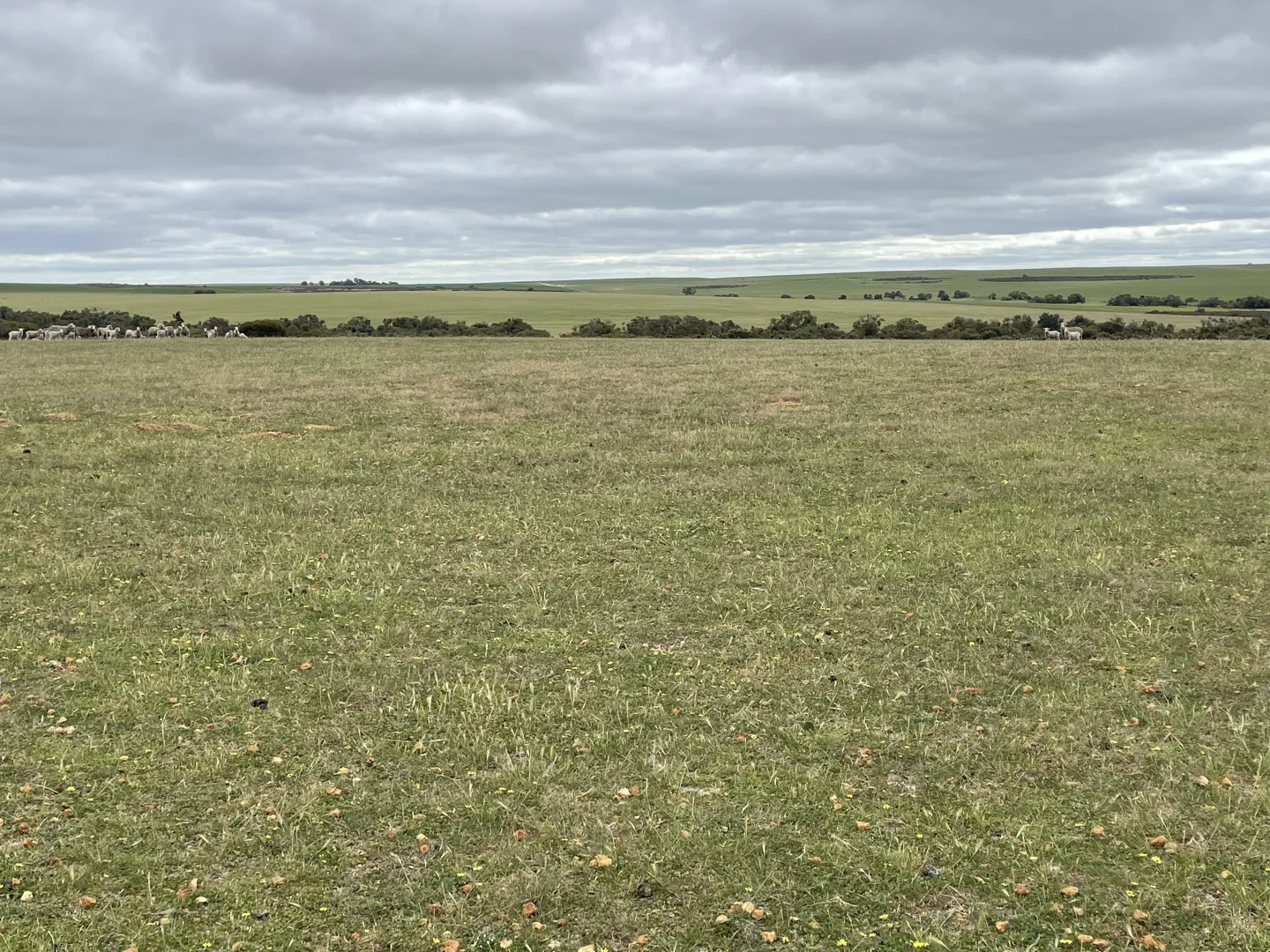 Additional image 9 of Lot 100 First North Road, Kadathinni WA 6519