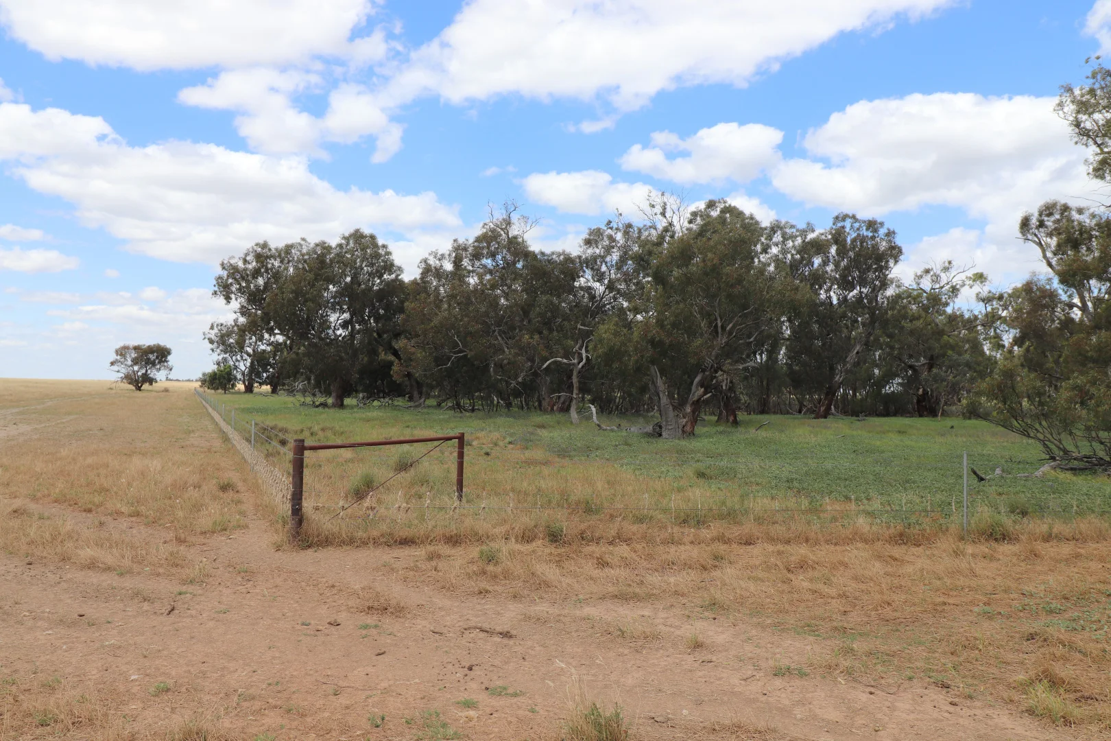 Additional image 8 of 'East Gathan' 509 Gathan Road, Deniliquin NSW 2710