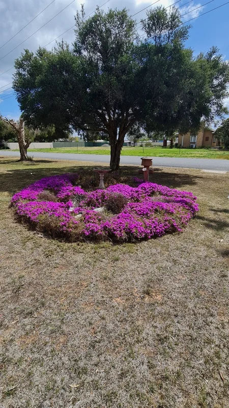 Additional image 6 of 20 William Street, Berrigan NSW 2712