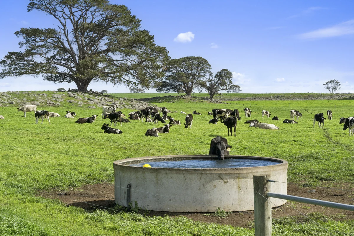 Additional image 32 of 280 Ondit-Warrion Road, Ondit VIC 3249