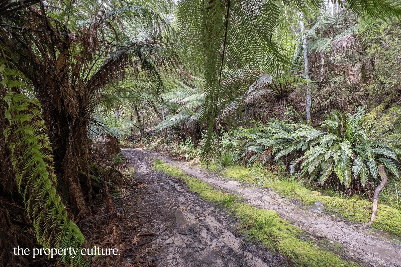 Additional image 26 of 1, 2 & 3 Bakers Creek Rd, Lucaston TAS 7109