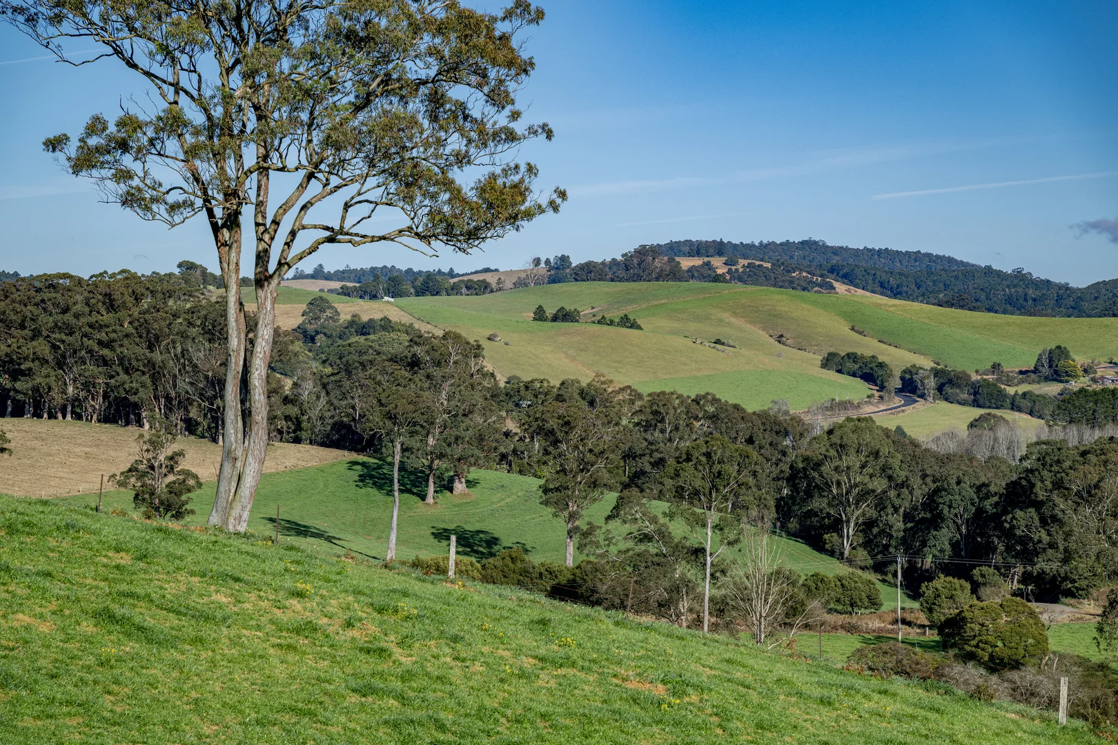 Additional image 8 of 1431 Coramba Road, Dorrigo NSW 2453