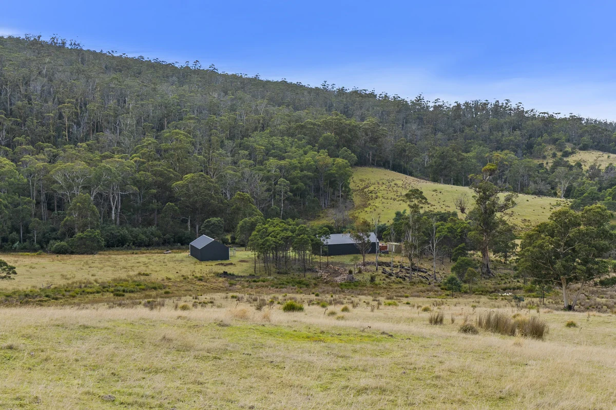 Additional image 11 of 1 & 2 Bresnehans Road, Little Swanport TAS 7190