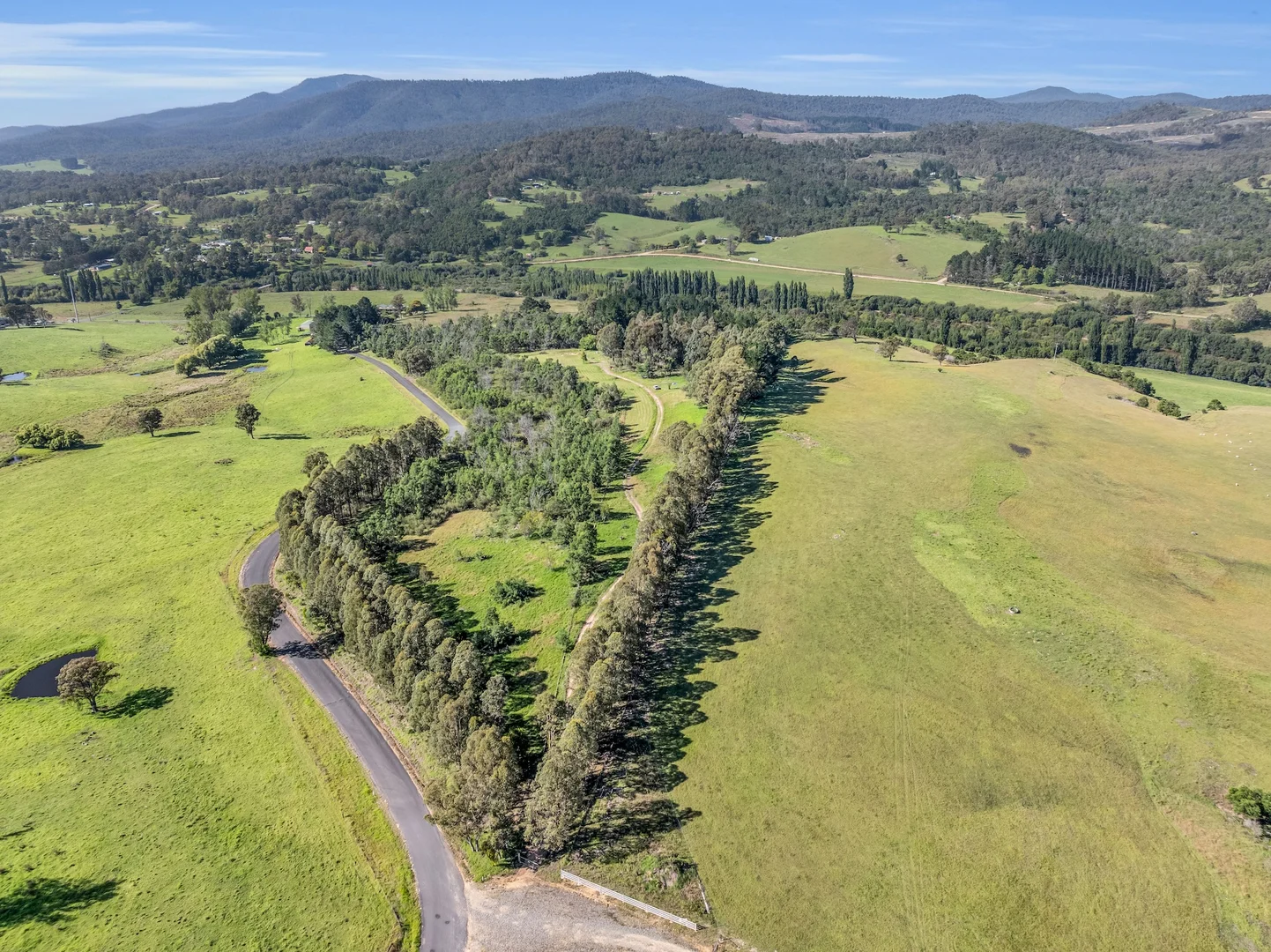 Additional image 5 of 2577 Towamba Road, Towamba NSW 2550