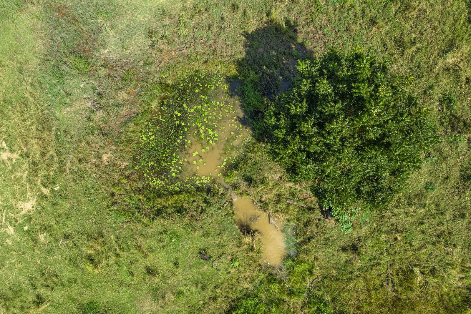 Additional image 8 of Lot 9/427 BACK CREEK ROAD, Back Creek NSW 2484