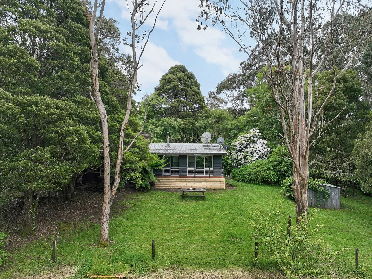 Additional image 4 of 5035 Great Ocean Road, Lavers Hill VIC 3238