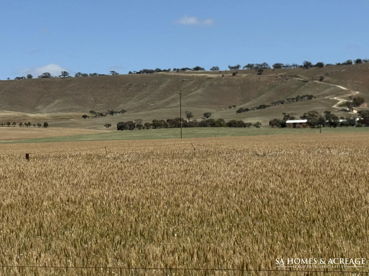 Additional image 10 of Section 407 & 408 Hills Road, Robertstown SA 5381