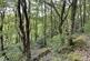 Additional image 9 of Waungilwen, Drefach-Velindre SA44