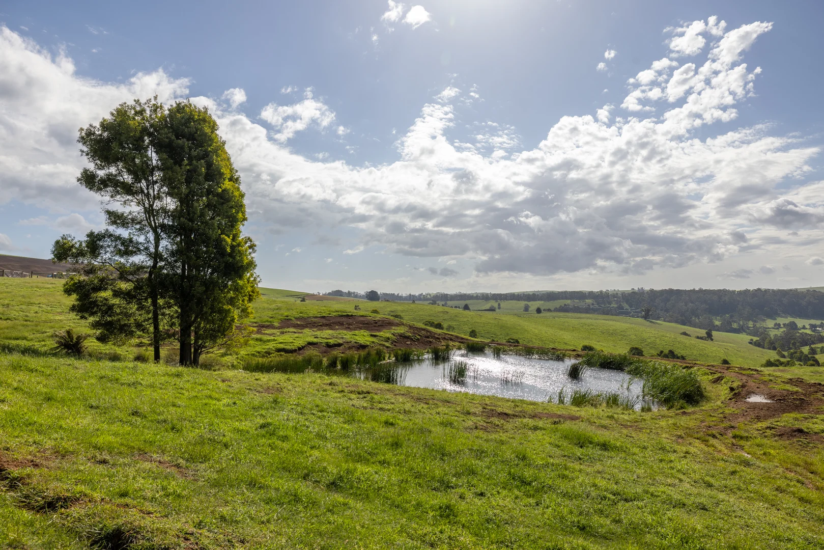 Additional image 9 of 520 Foster Road, Boolarra South VIC 3870