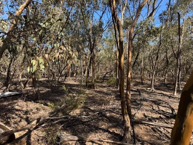 Additional image 12 of 69A Ainsworth Road, Wedderburn VIC 3518