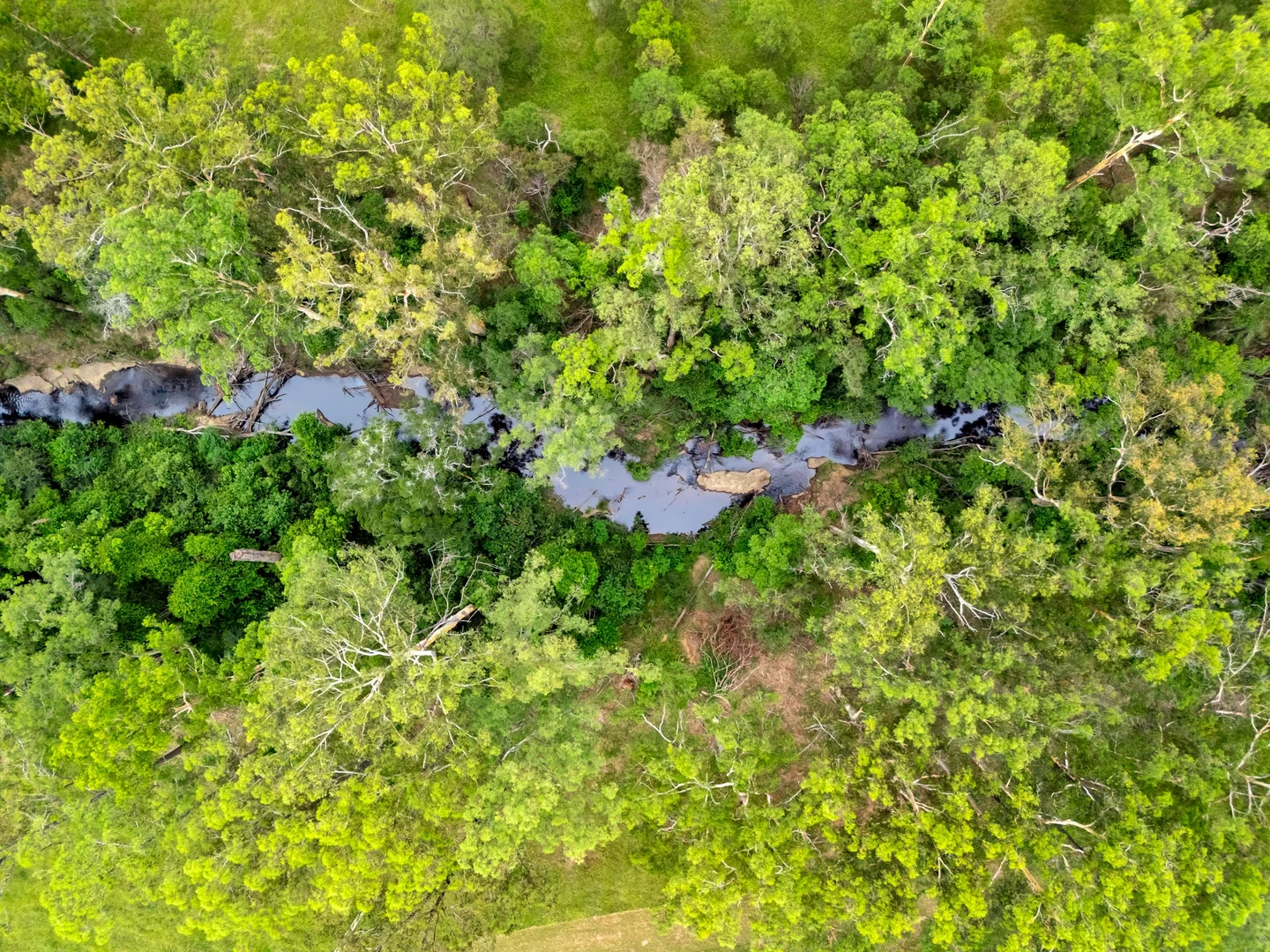 Additional image 15 of 696 Kungala Road, Kungala NSW 2460