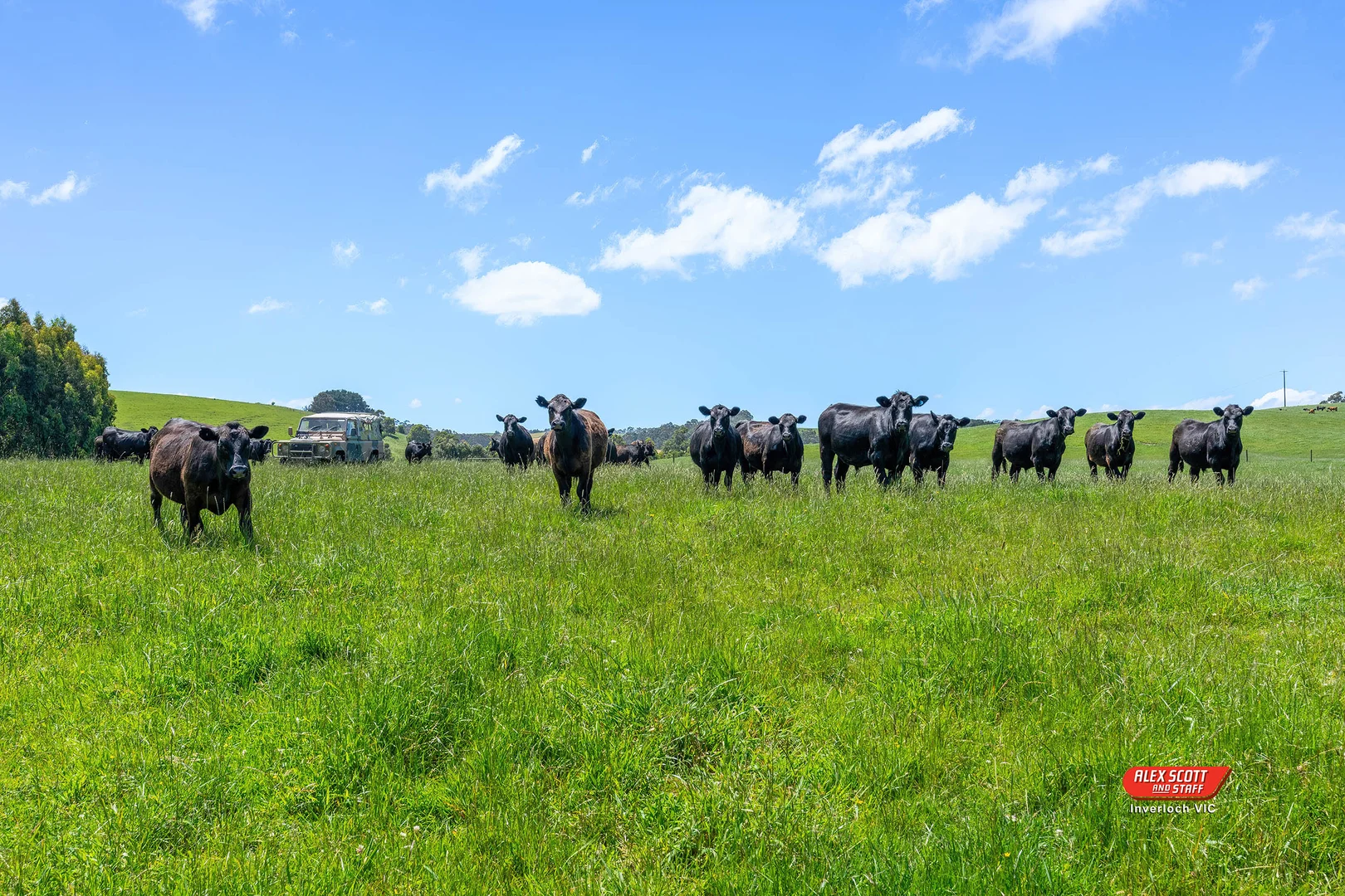 Additional image 13 of Lot 2 Kongwak Road, Glen Alvie VIC 3979