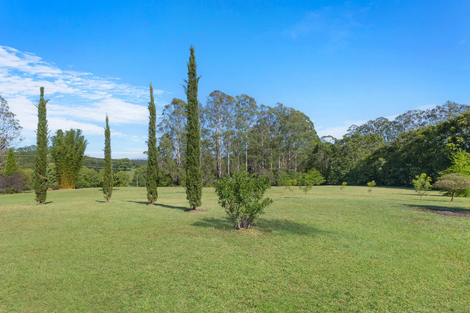 Additional image 12 of 321 Fernleigh Road, Fernleigh NSW 2479