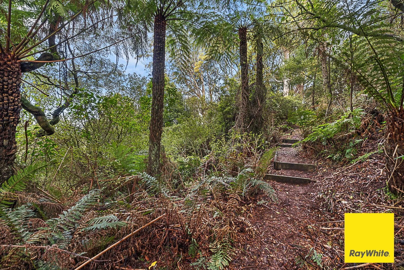 Additional image 25 of 480 Foster Mirboo Road, Foster North VIC 3960