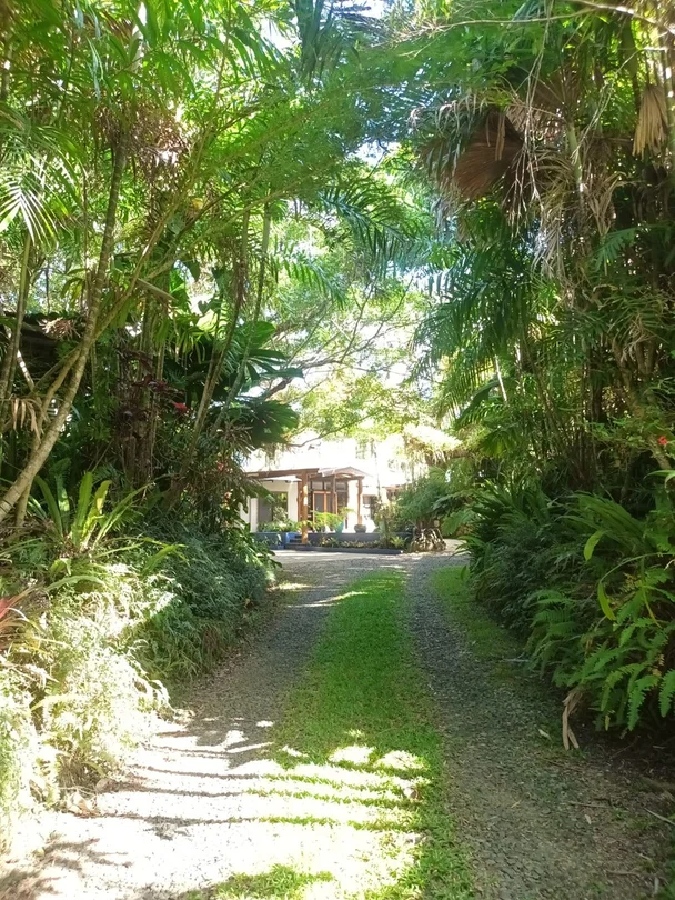 Additional image 3 of 582 Bingil Bay Road, Bingil Bay QLD 4852