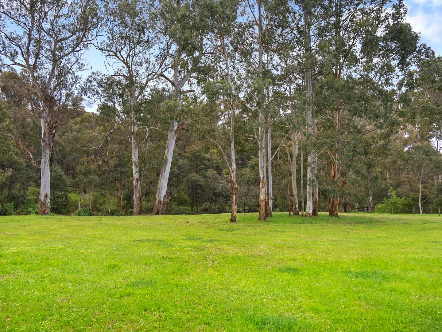 Additional image 11 of 2339 Maroondah Highway, Buxton VIC 3711