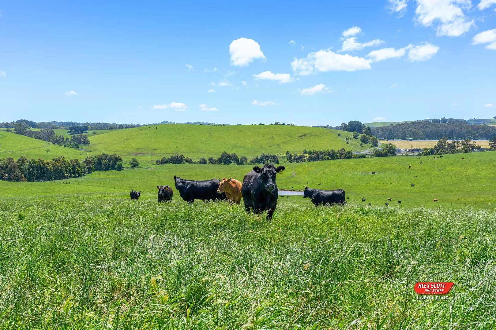 Additional image 6 of Lot 2 Kongwak Road, Glen Alvie VIC 3979