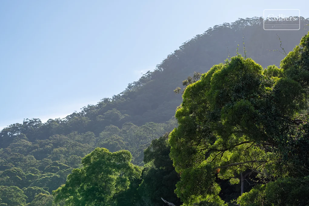 Additional image 7 of 32 Blueberry Place, Cordeaux Heights NSW 2526