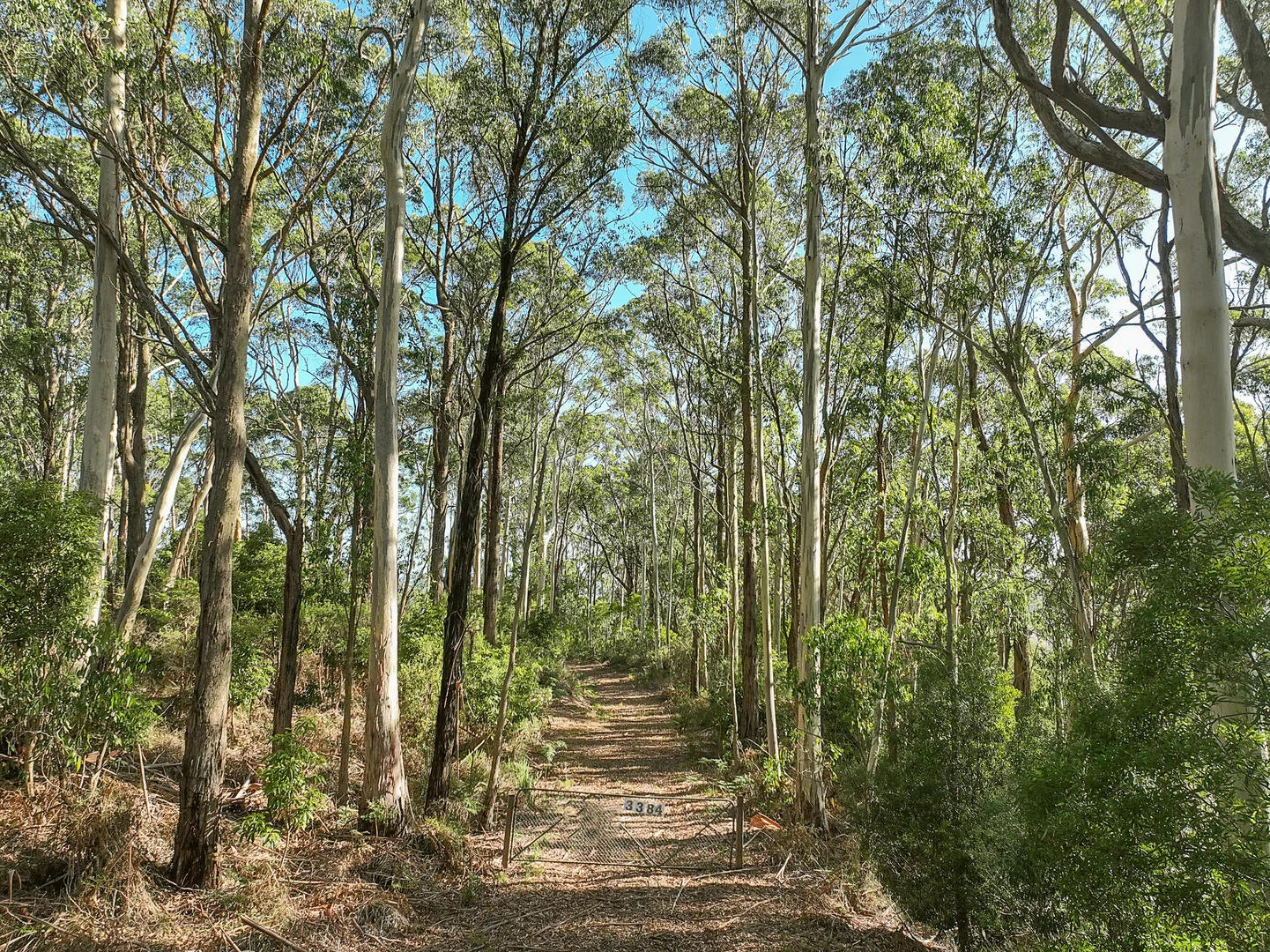 Additional image 11 of 3384 Lavers Hill-Cobden Road, Kennedys Creek VIC 3239