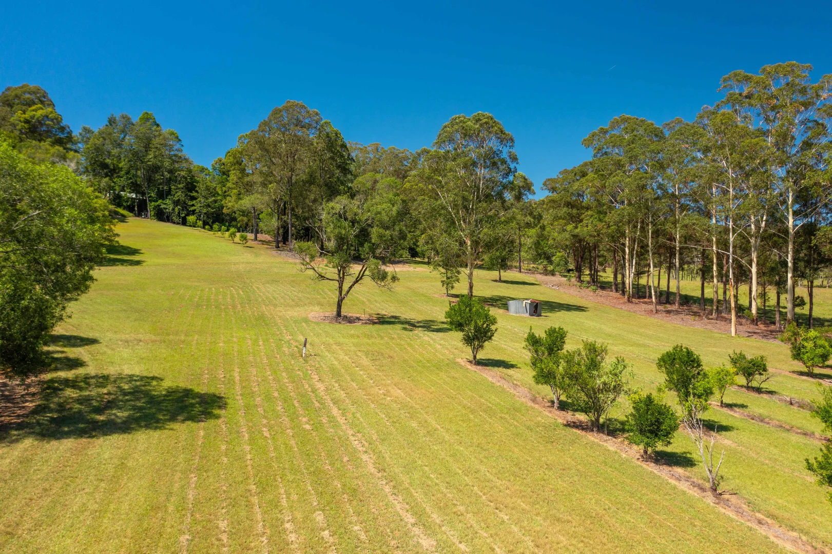 Additional image 42 of 1078 Comboyne Road, Byabarra NSW 2446
