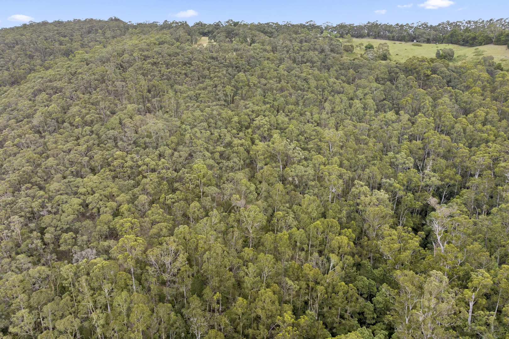 Additional image 13 of 575 Deans Marsh Lorne Road, Deans Marsh VIC 3235