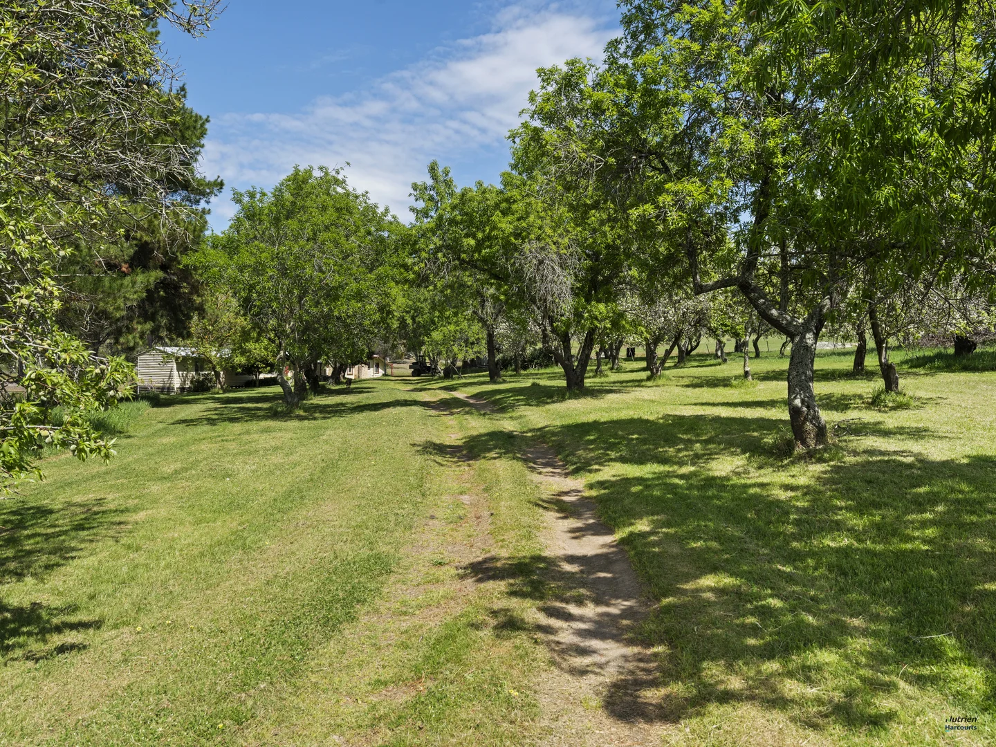 Additional image 11 of 84 Heaney Road, Lima East VIC 3673