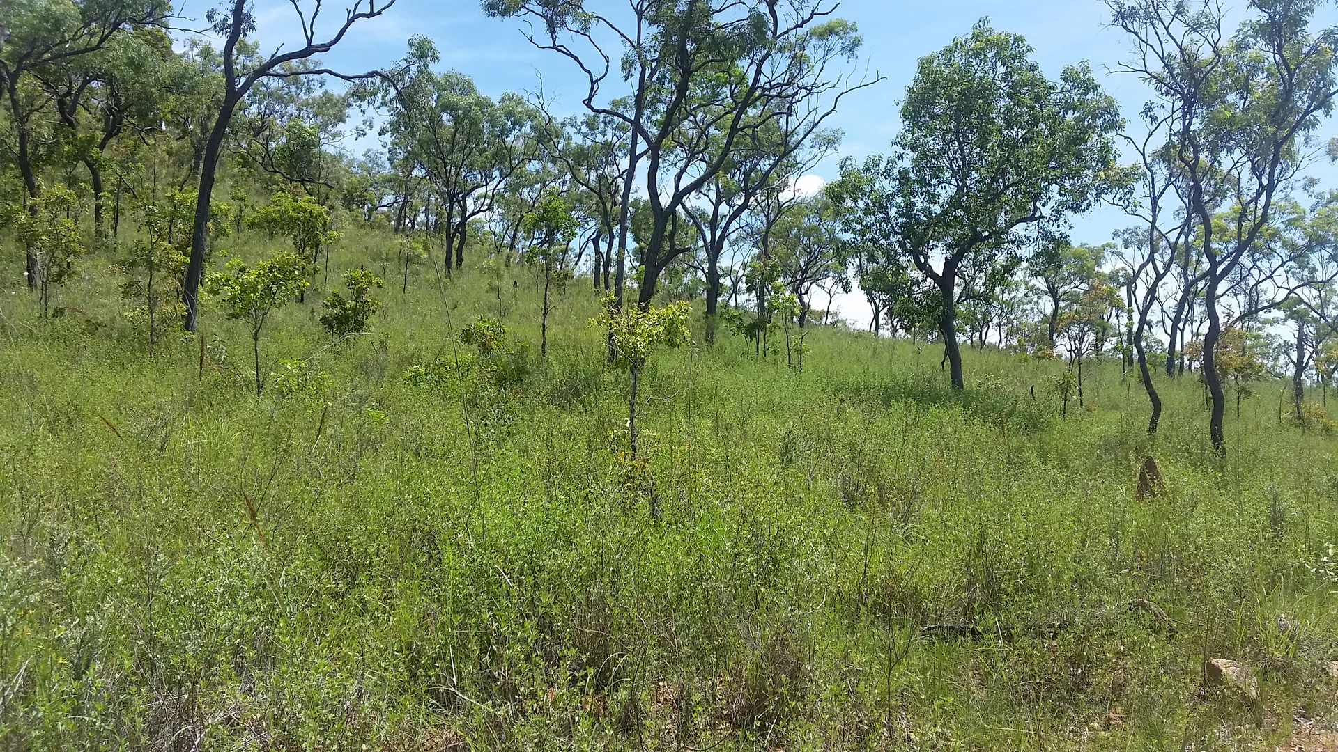 Additional image 13 of Lot 481 Sandy Creek Road, Dimbulah QLD 4872