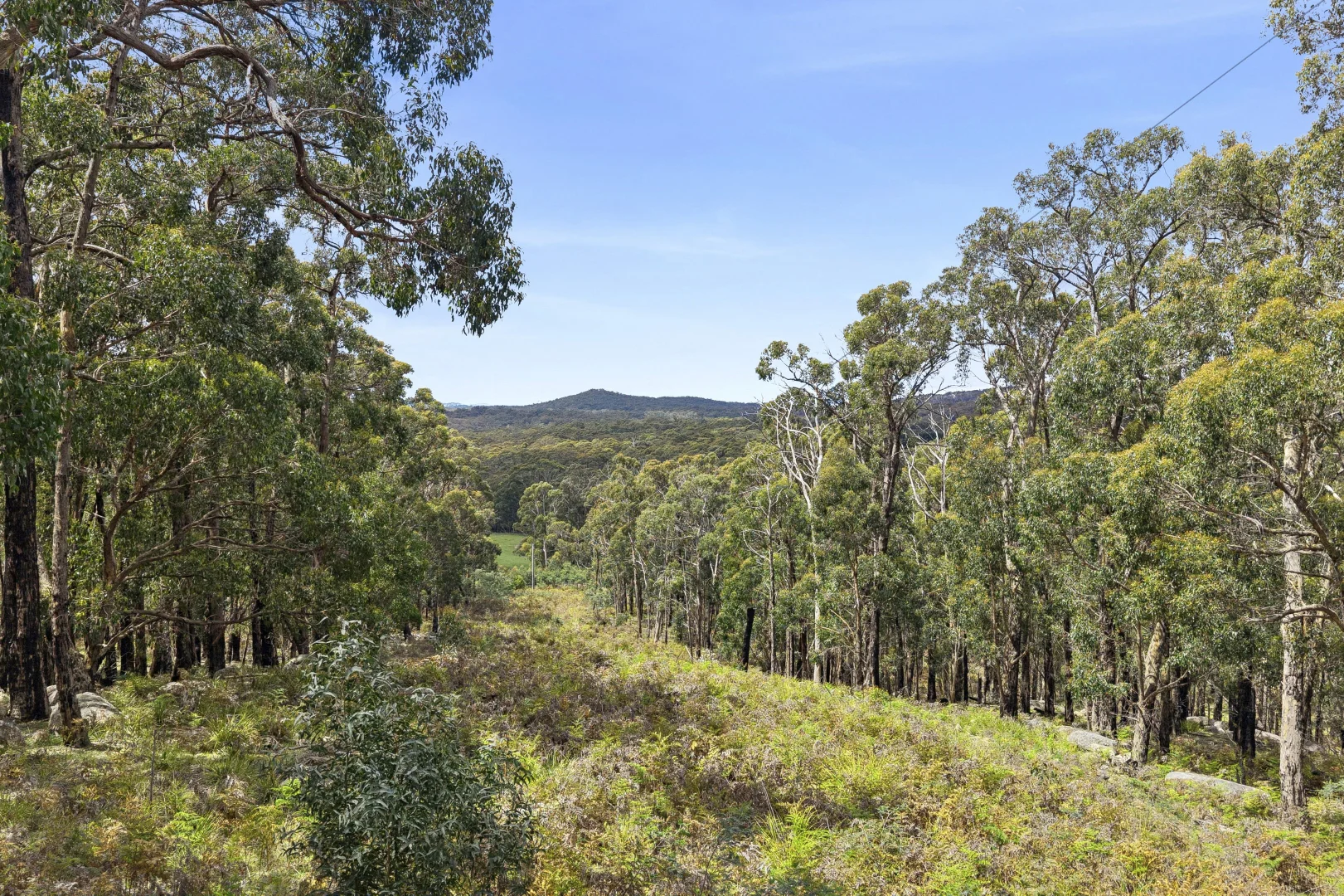 Additional image 23 of 106 Kitchenhams Road, Benloch VIC 3435