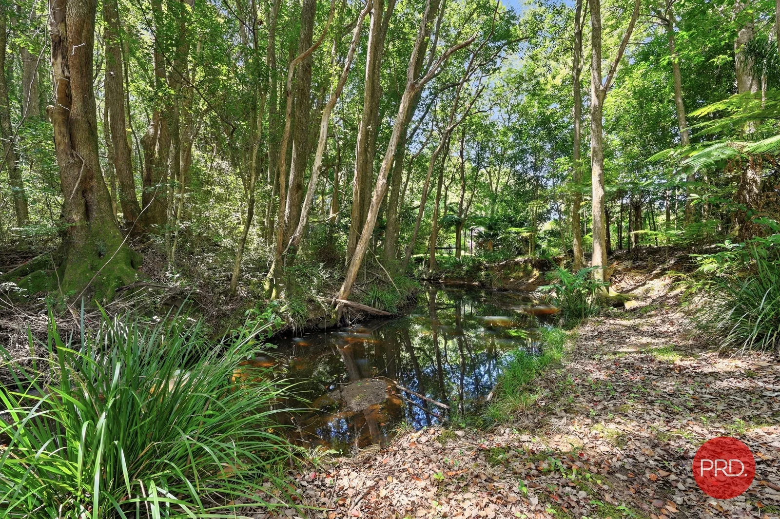 Additional image 30 of 20 Bakker Drive, Bonville NSW 2450