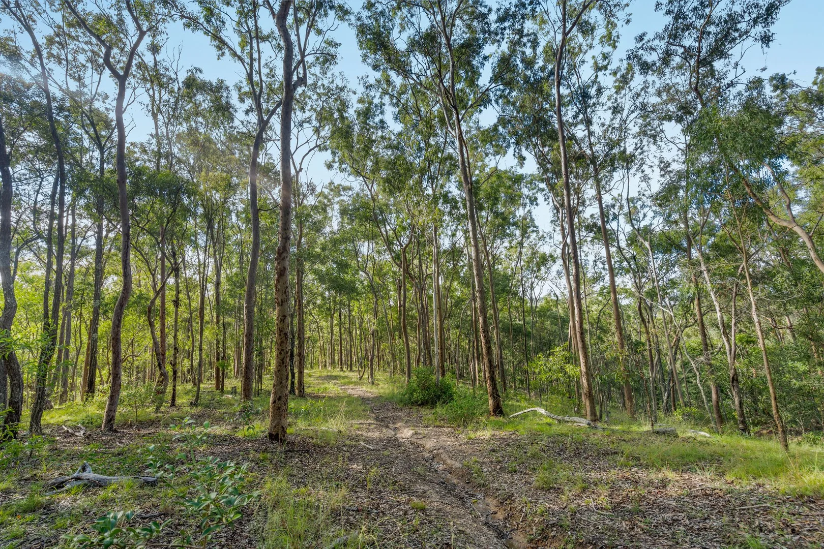 Additional image 26 of 169 Dunns Road, Wolffdene QLD 4207