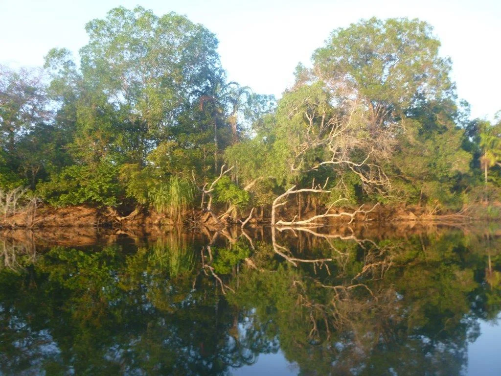 Additional image 7 of Bynoe NT 0822