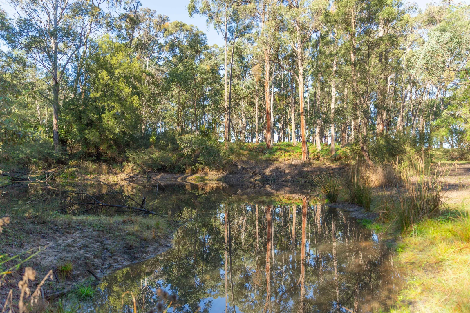 Additional image 24 of 82 Gregory Rd, Nicholson VIC 3882