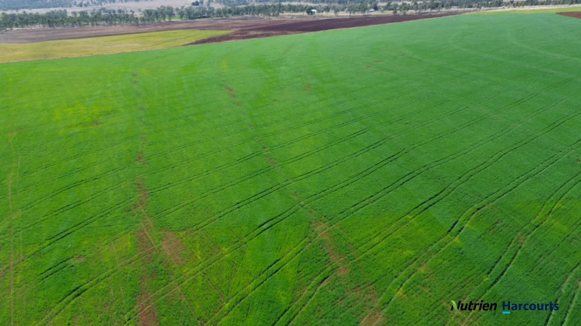 Additional image 13 of Lot 2 Reedy Creek Road, Benair QLD 4610