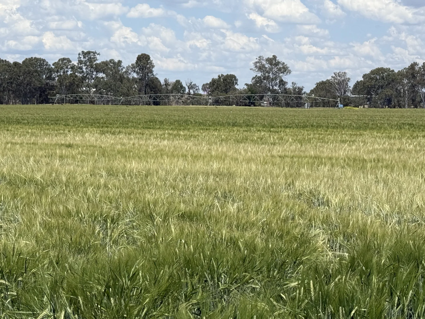 Additional image 12 of Burnett Highway, Three Moon, Monto QLD 4630