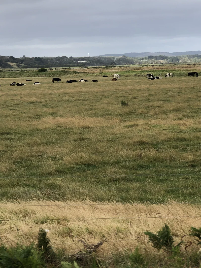 Additional image 9 of 51 Lees Road, Venus Bay VIC 3956