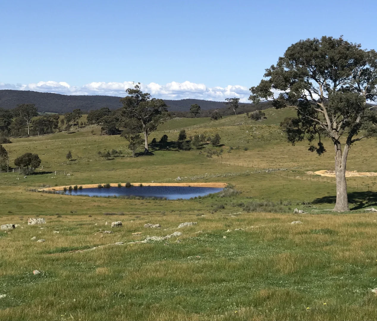 Additional image 7 of 26 Red Gate Lane, Heathcote South VIC 3523