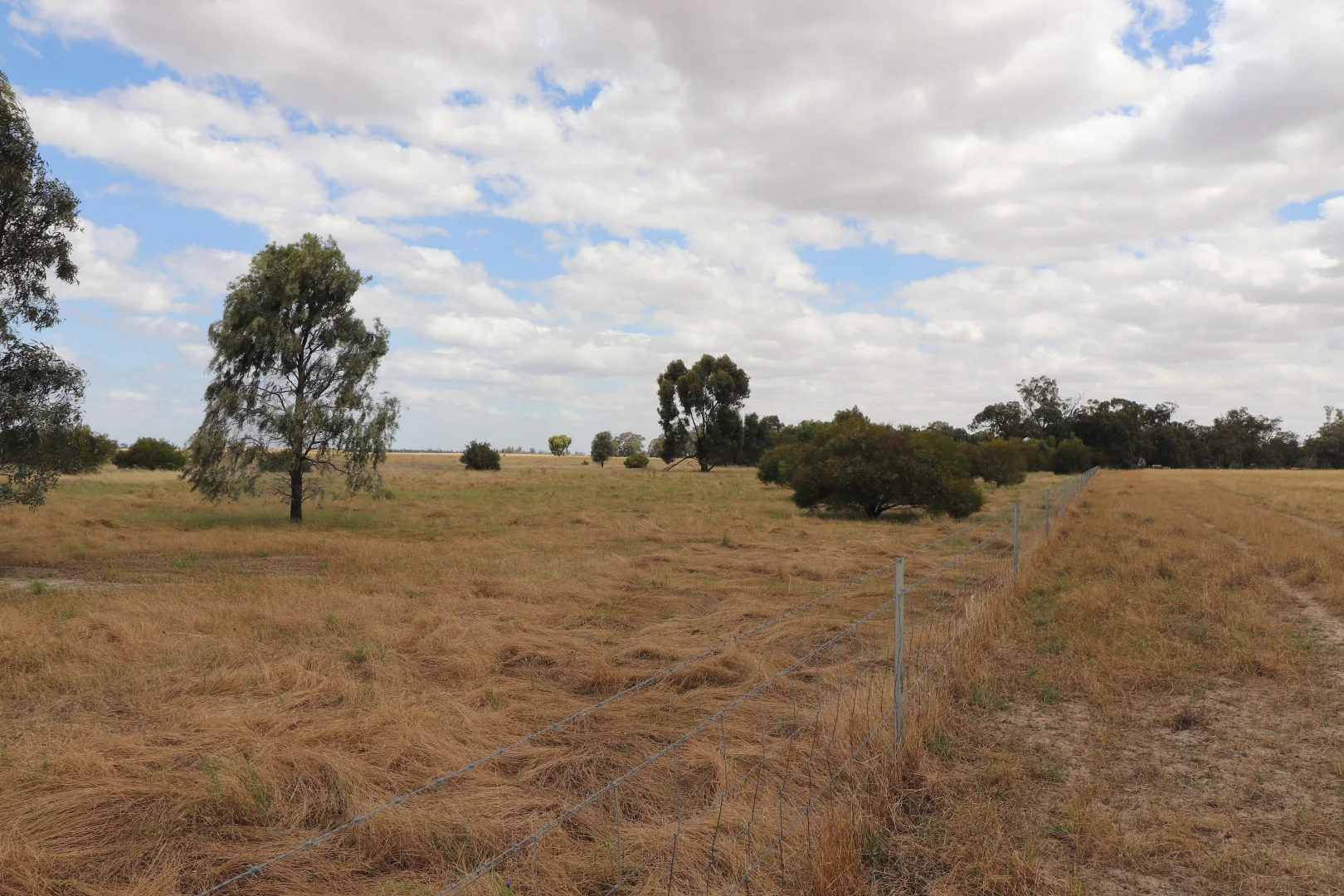 Additional image 12 of 'East Gathan' 509 Gathan Road, Deniliquin NSW 2710