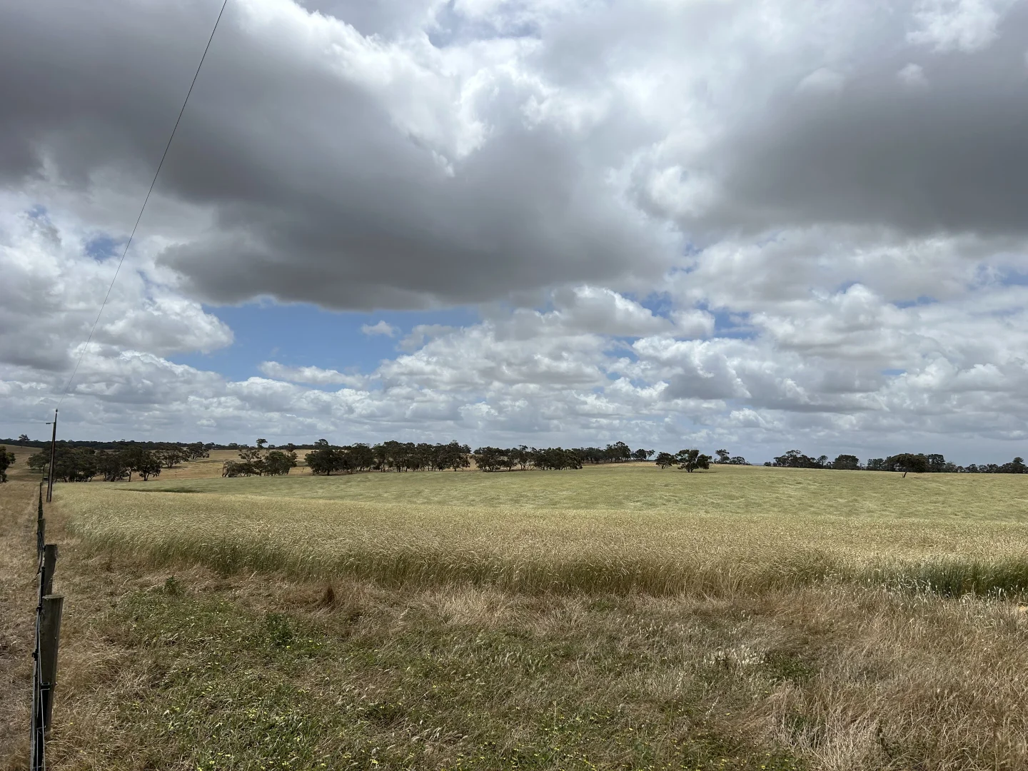 Additional image 3 of Lot 189 and 323 Roy Lawries Road, Lochaber SA 5271