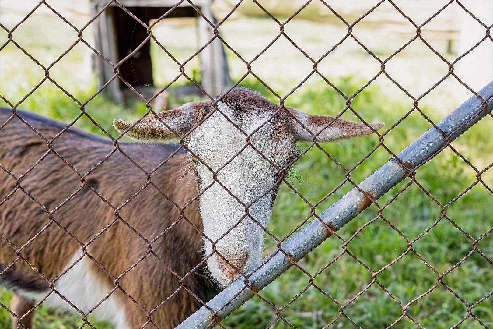 Additional image 26 of 2 Vallance Drive, Murrumbateman NSW 2582