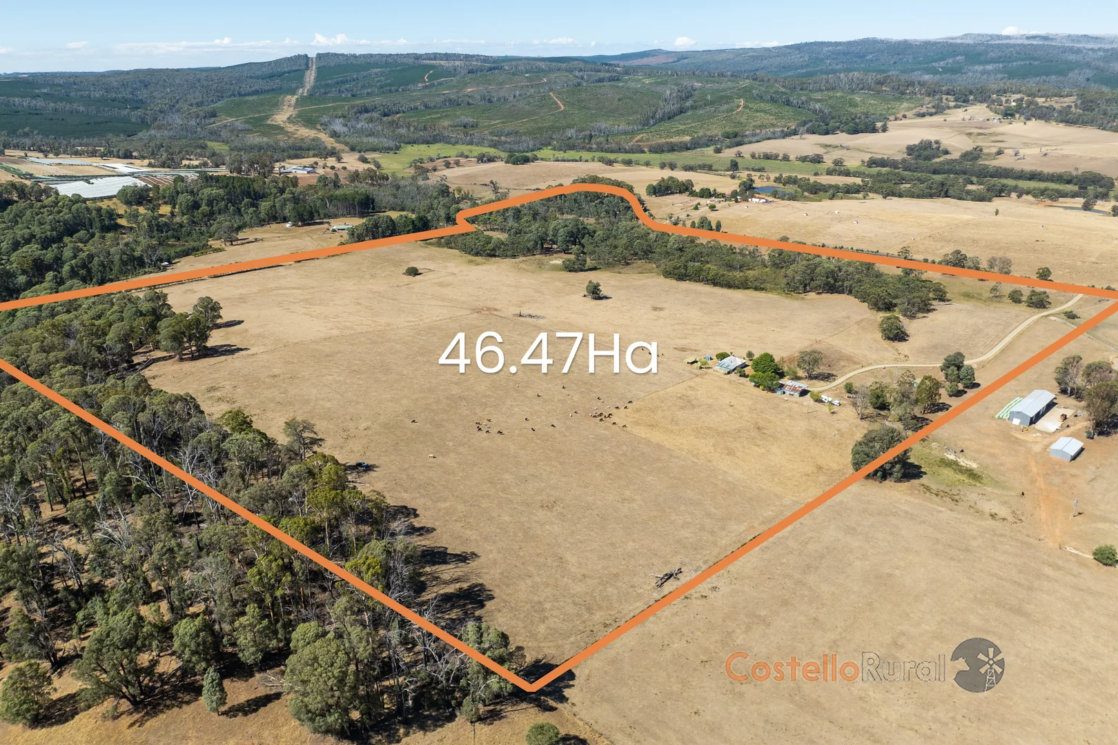 Additional image 30 of 195 Willigobung Road, Willigobung NSW 2653