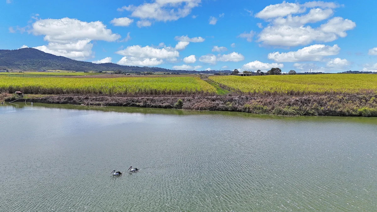 Additional image 6 of 1 Kochs Road, Farleigh QLD 4741