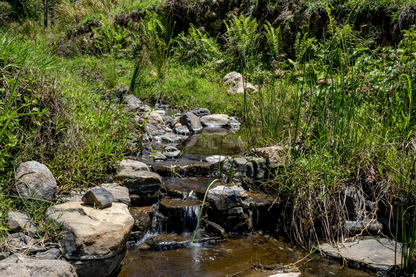 Additional image 11 of 148 Pine Log Road, Doon Doon NSW 2484